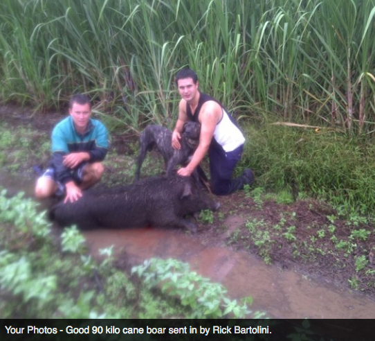 Screen Shot 2013-10-02 at 1.36.46 PM